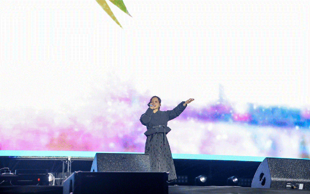 平陽體育中心群星演唱會(huì)！超萬人圍觀，現(xiàn)場火爆High唱！