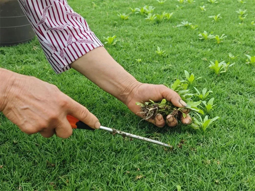 萬豪集團匠心助力，6月齊聚重慶龍興足球場為國足吶喊助威！